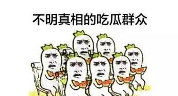 带你成为吃瓜群众,带你轻松成为吃瓜群众的必备指南 第1张 带你成为吃瓜群众,带你轻松成为吃瓜群众的必备指南 第1张